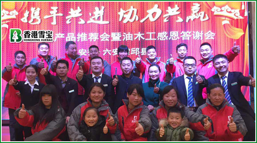 板材十大品牌-安徽霍邱《攜手共進(jìn)•協(xié)力共贏》雪寶產(chǎn)品推薦會(huì)