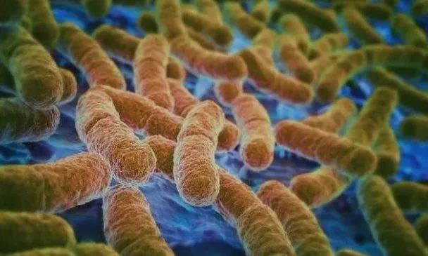 ѩ��������ù����ʲô����ʲôҪʹ�ÿ�����ù����