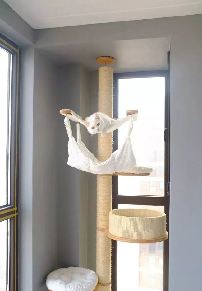 ���Ќ�������b���Լ��ļ��أ��@Щ�����܎��톢�l(f��)��