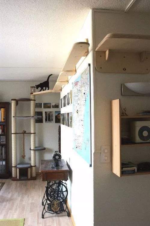 ���Ќ�������b���Լ��ļ������@Щ�����܎��톢�l(f��)��