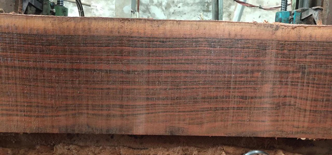 ��ĺ�߀�ǌ�(sh��)ľ��