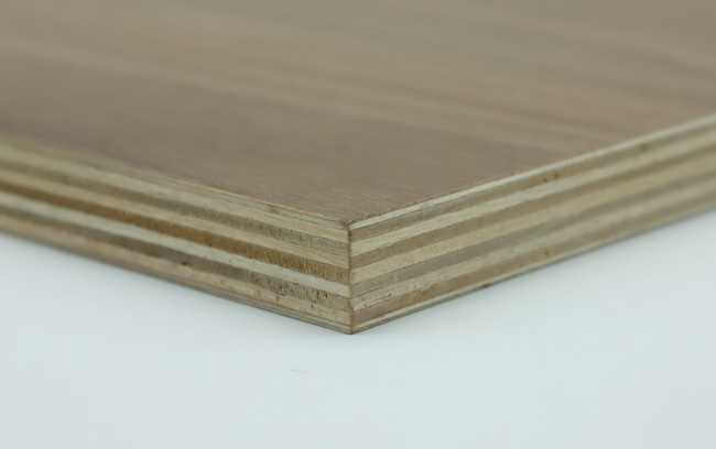 ���Ӱ�����c(di��n)��ʲô��