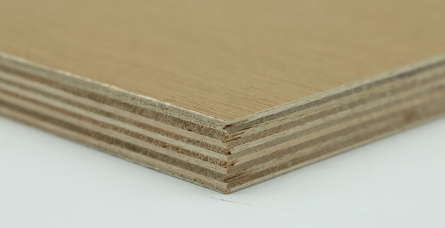 �Ҿ߰���ʲô����ʲôҪ�x��Ҿ߰���